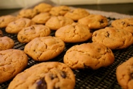 Chewy Peanut Butter & Chocolate Chunk Cookies